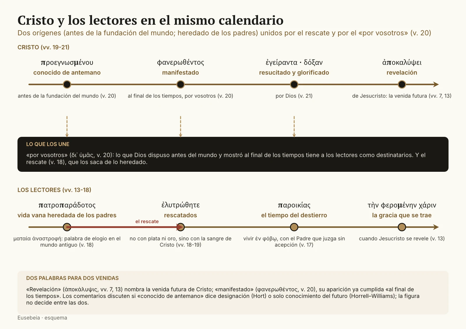 Dos líneas de tiempo paralelas: arriba los tiempos de Cristo (conocido de antemano antes de la fundación del mundo, manifestado al final de los tiempos, resucitado y glorificado, revelación) y abajo los de los lectores (vida vana heredada de los padres, rescate, destierro, la gracia que se trae); entre ambas, la expresión «por vosotros»