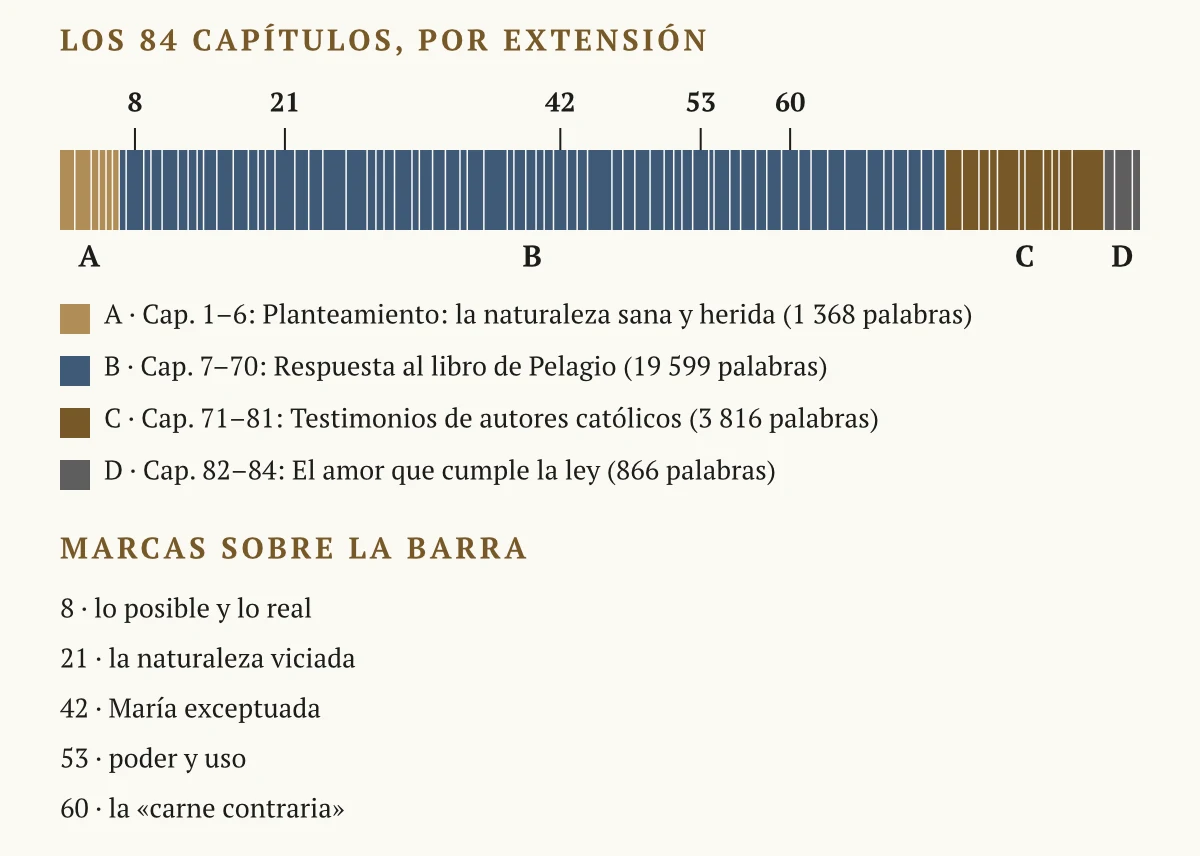 Barra horizontal con los 84 capítulos del libro, de anchura proporcional a su extensión, en cuatro bloques: planteamiento (1 a 6), respuesta al libro de Pelagio (7 a 70, con marcas en los capítulos 8, 21, 42, 53 y 60), testimonios de autores católicos (71 a 81) y el amor (82 a 84)